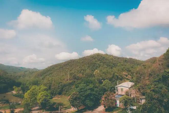 025网站最新发布）青云上内幕大揭秘麻将胡了试玩平台建发联发青云上（2(图14)