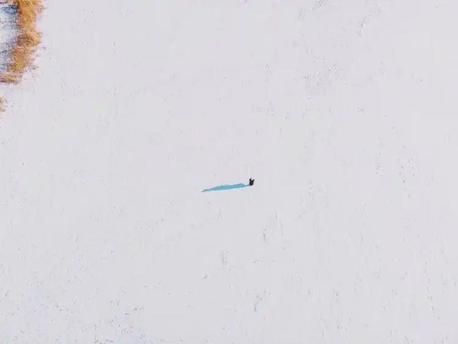 025网站最新发布）青云上内幕大揭秘麻将胡了试玩平台建发联发青云上（2(图3)